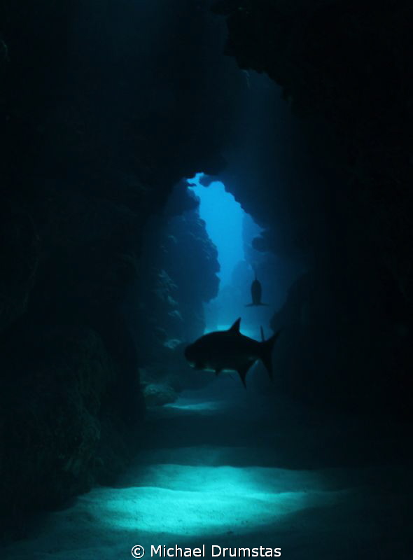 caves with tarpon by Michael Drumstas 