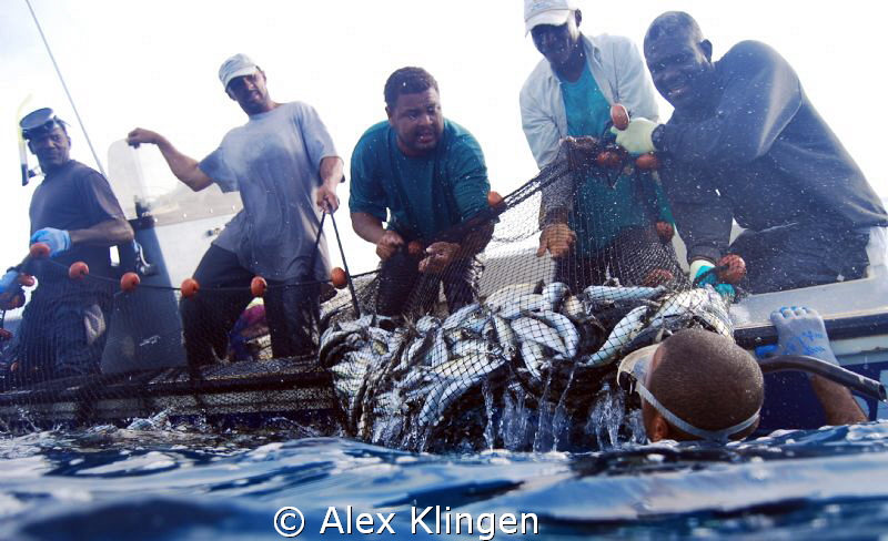 Anguillan fishermen hauling in their catch by Alex Klingen 