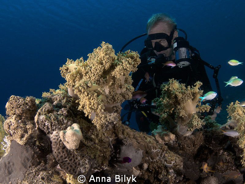 Diver by Anna Bilyk 