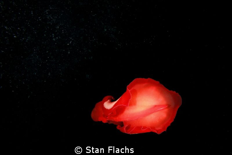 I wanna touch the stars (spanish dancer & bubbles) by Stan Flachs 