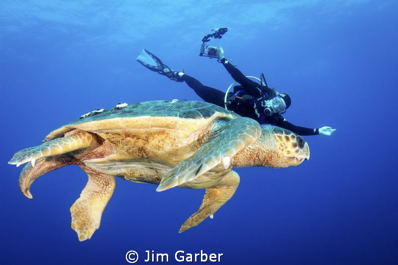 Deb really likes turtles by Jim Garber 