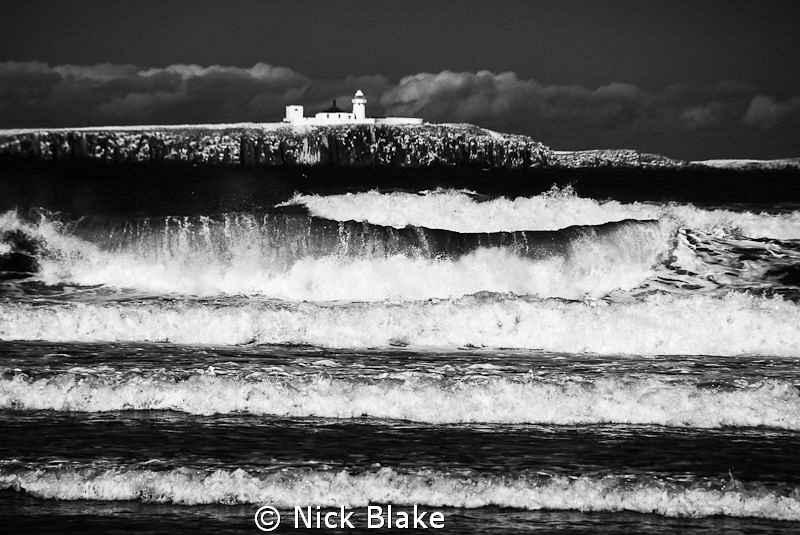 View to Inner Farnes from the shoreline, Seahouses.
Fuji... by Nick Blake 