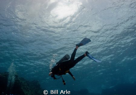 Nice, clear dive conditions. Big Island, Hawaii. by Bill Arle 