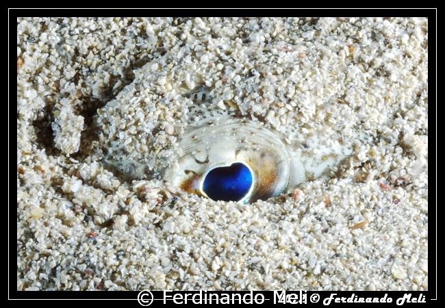 Eye into the sand by Ferdinando Meli 