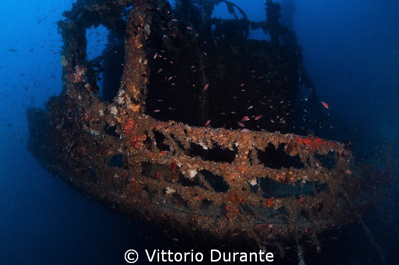 Stern of the wreck Laura C, about 45 mt deep by Vittorio Durante 