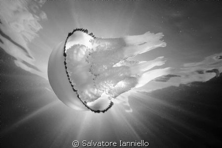 Eclissi by Salvatore Ianniello 