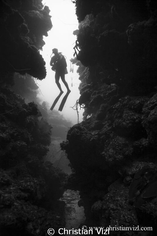 Diver`silhouette after exiting a cavern passage at Jardin... by Christian Vizl 