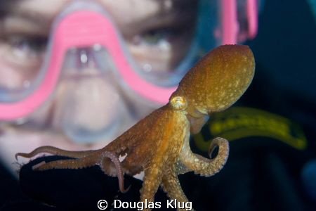eye to eye. A junior diver has a close encounter with a t... by Douglas Klug 