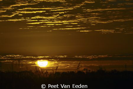 sunrise over the Okavango swamps, Moremi, Botswana. One o... by Peet Van Eeden 
