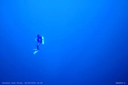 Blue dive, cristal clear water enabled this shot.Taken wi... by Dan Ashkenasi 