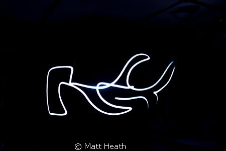 Flashlight Photography of a Hammerhead by Matt Heath 