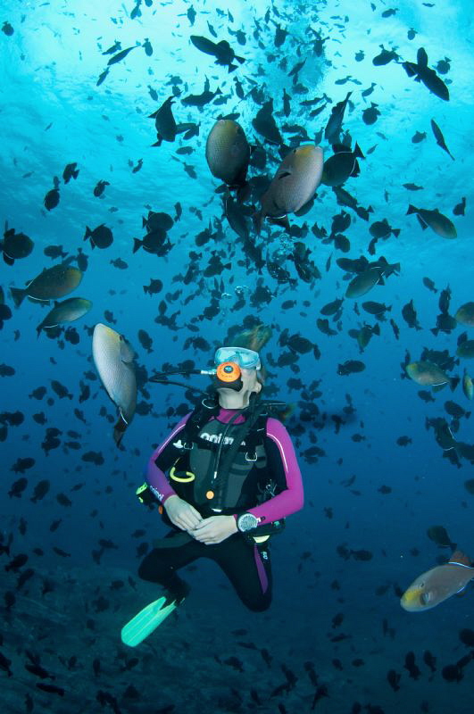 Diver with huge school of Black Durgon by Paul Colley 