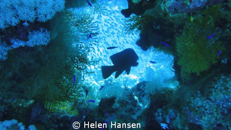 a piece of art under water:) by Helen Hansen 