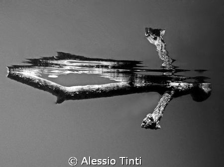 wood man Swimming ? by Alessio Tinti 