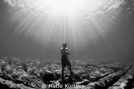 Free diver
Canon 5D Mark II & Sea&Sea MDX 5D MK II
Cano... by Mutlu Kurtbas 