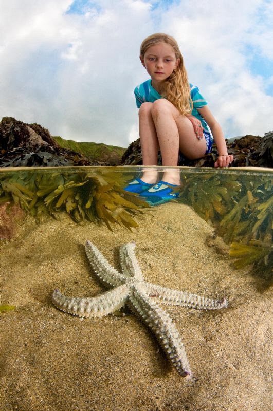 Starfish in rock pool by Paul Colley 