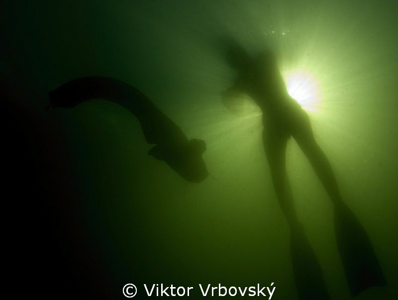 Catfish, freediver, sun... by Viktor Vrbovský 