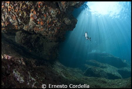 seabed by Ernesto Cordella 
