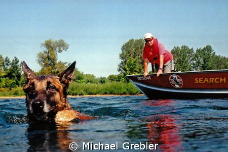 The "victims" view of water rescue/cadaver dog training n... by Michael Grebler 