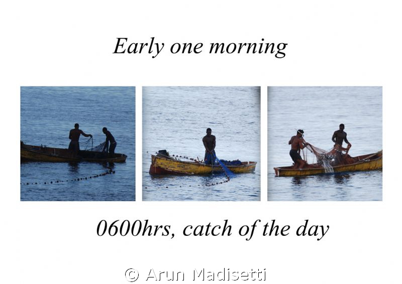 Someone was blowing a conch at 430 this morning, indicati... by Arun Madisetti 