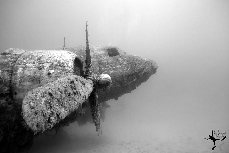 Wreck of a DOUGLAS C-47 "Skytrain" airplane, often known ... by Rico Besserdich 