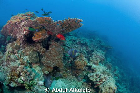 I took this pic in Jana island and this was my first pic ... by Abdul Alkulaib 