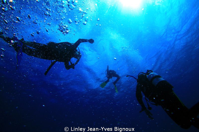 Divers in the shadow .Balaclava Mauritius 30 metres maxim... by Linley Jean-Yves Bignoux 