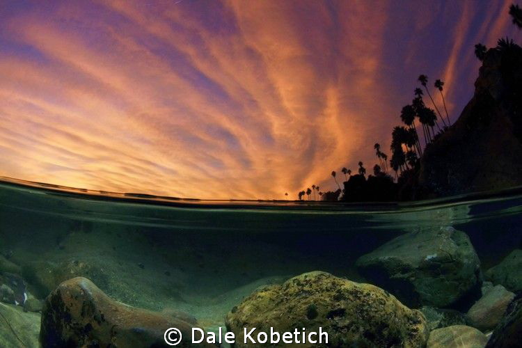 after sunset in a laguna beach tide pool by Dale Kobetich 