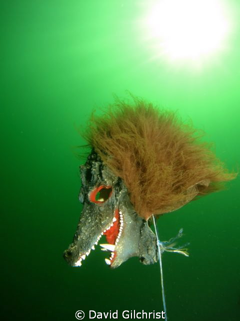 A Scary Sight (2) at the Welland Scuba Park by David Gilchrist 