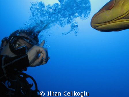 Discussion with grouper...! by Ilhan Celikoglu 