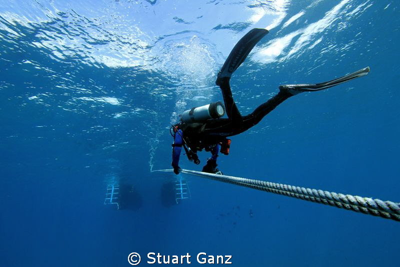 Dive is done, heading back to the boat. by Stuart Ganz 