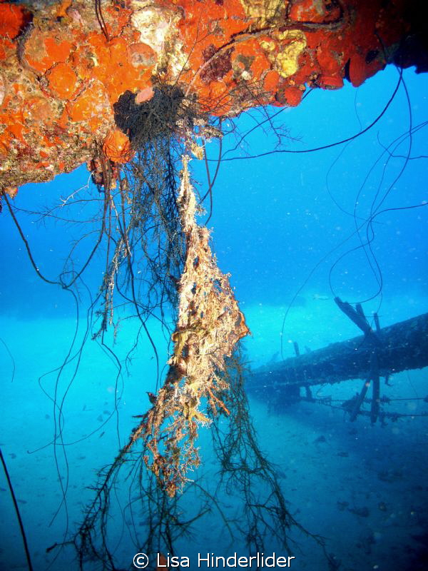 From under the wreck of the Hilma Hooker looking out. by Lisa Hinderlider 