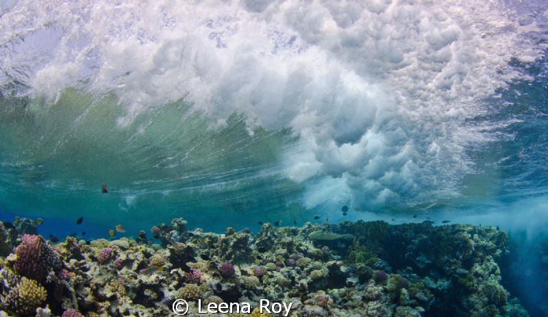 The wave by Leena Roy 