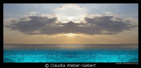 the wings of freedom

translation saying:
sensless and... by Claudia Weber-Gebert 