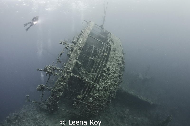 Wreck of the Umbria by Leena Roy 