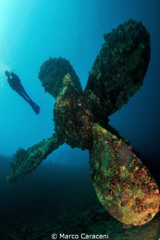 Umbria wreck propeller by Marco Caraceni 