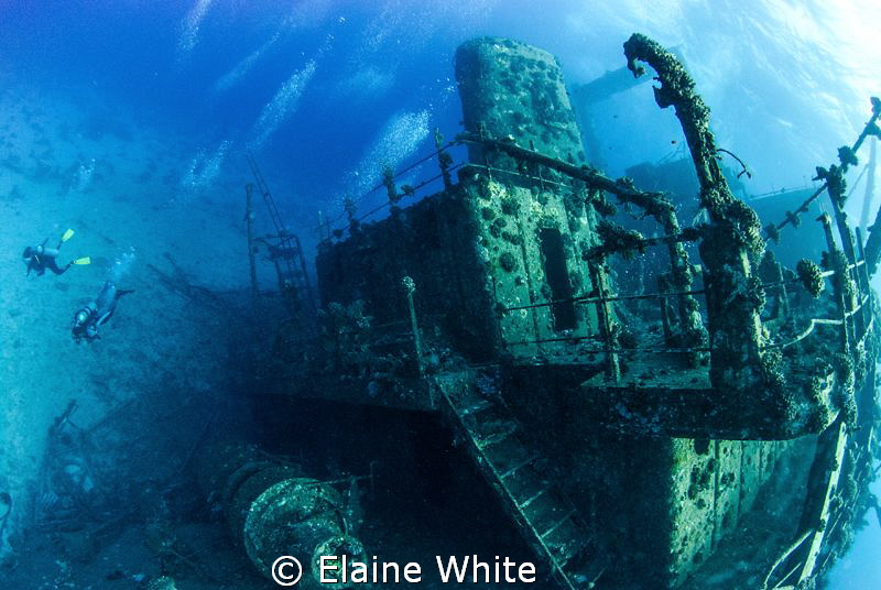 Wreck of the Gianas D by Elaine White 