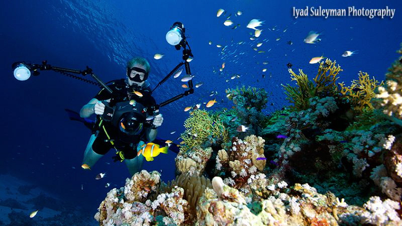 UW scenery with diver by Iyad Suleyman 