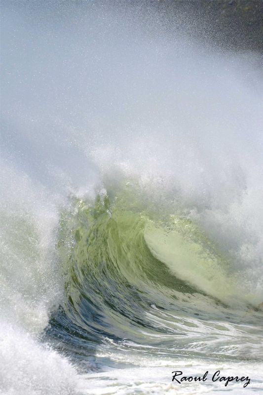 The Wave ! by Raoul Caprez 