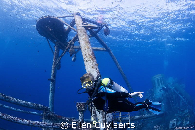 Diver enjoying her first dive of the new year on the Ex-U... by Ellen Cuylaerts 