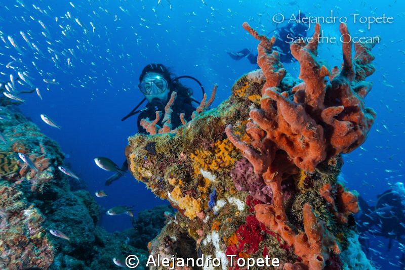 Reef with Diver by Alejandro Topete 