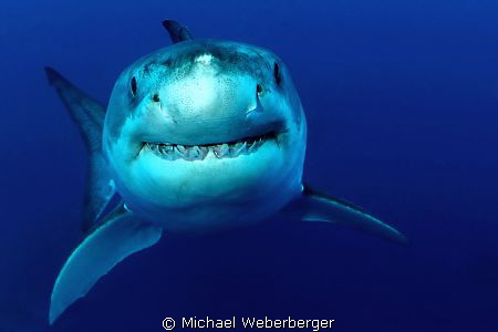 Keep smiling !!! by Michael Weberberger 
