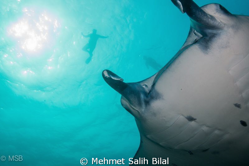A Manta with snorkelers at Madivaru, South Ari Atoll. by Mehmet Salih Bilal 