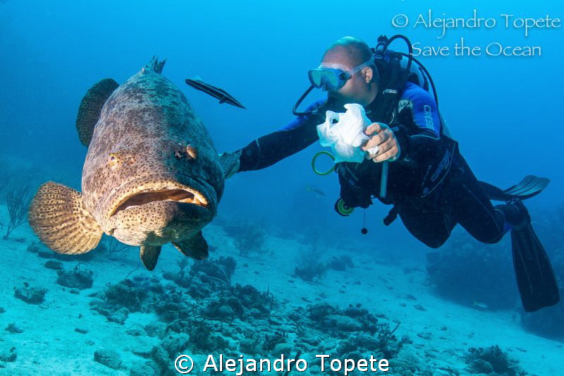 Goliat Grouper with Diver, Gardens of the Queen by Alejandro Topete 