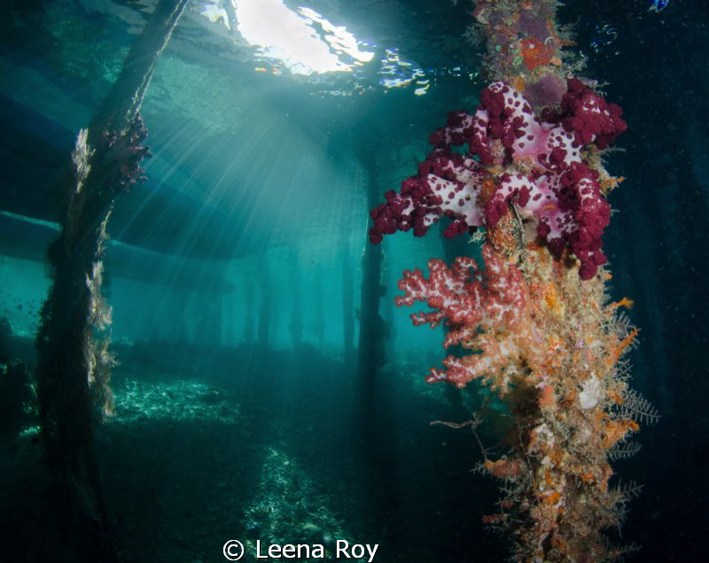 Under the pier by Leena Roy 