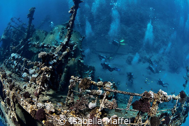 "DIVING INDUSTRY ON HAMATA WRECK"
This wreck is located ... by Isabella Maffei 