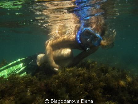 swimming amidst seven Scorpionfishes by Blagodarova Elena 