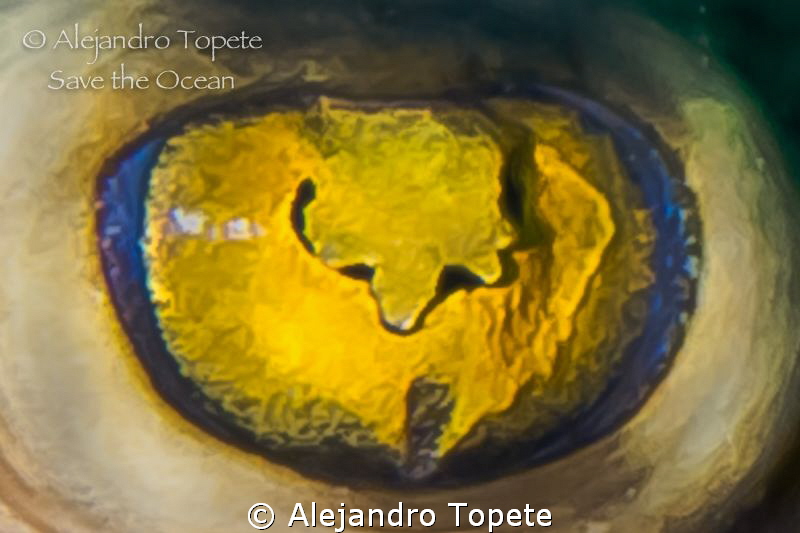 Amazing Ray eye, Acapulco Mexico by Alejandro Topete 