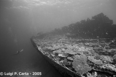 Kalinka and the wreck. Sharm El Sheikh, Egypt. Canon eos ... by Luigi Carta 