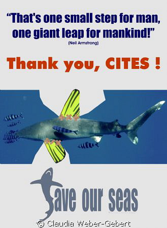 thank you - CITES ! by Claudia Weber-Gebert 
